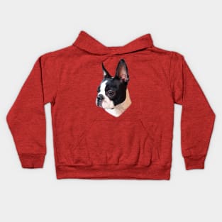 Boston Terrier Face Puppy Dog Kids Hoodie